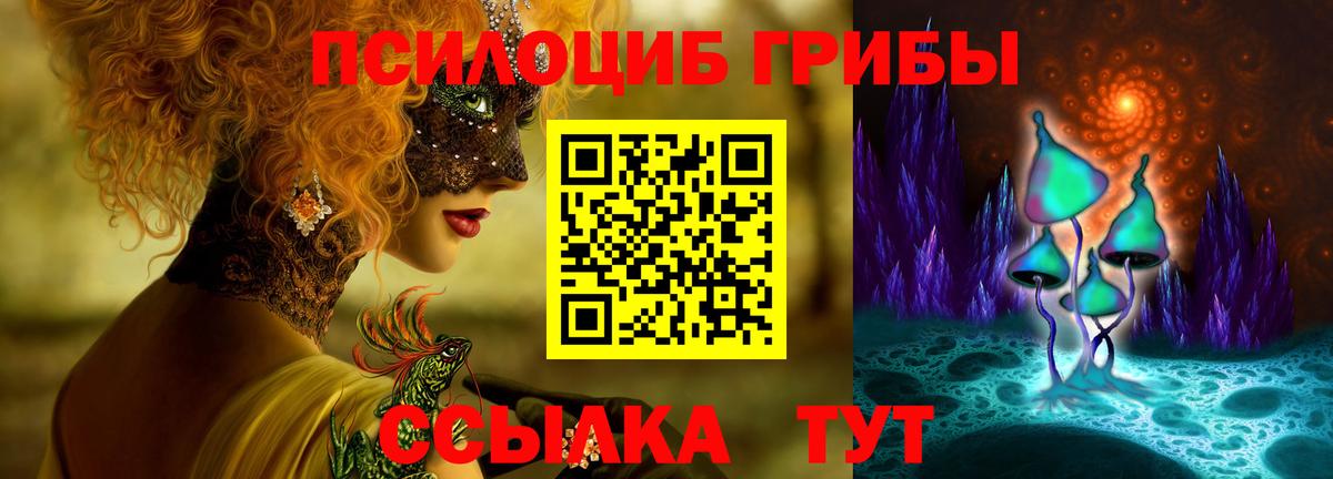 Саратов  Псилоцибиновые грибы Psilocybe  Псилоцибиновые грибы Psilocybine cubensis  Вход с VPN 
